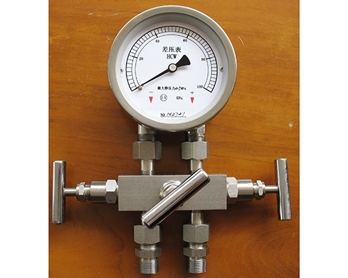 差压表带三阀组